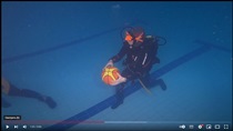 Scuba Ball